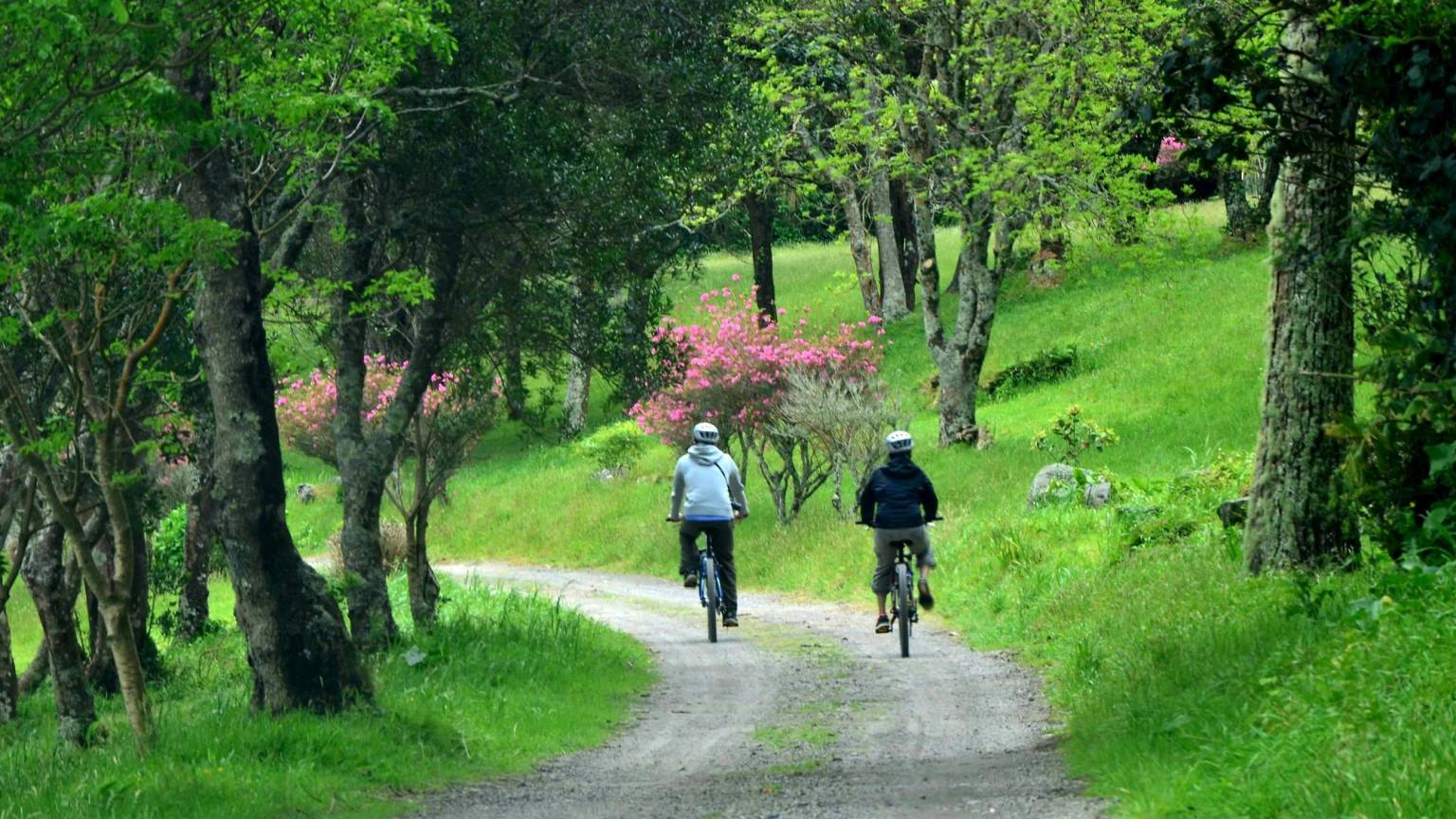 Bike Tour - Na margem das Lagoas