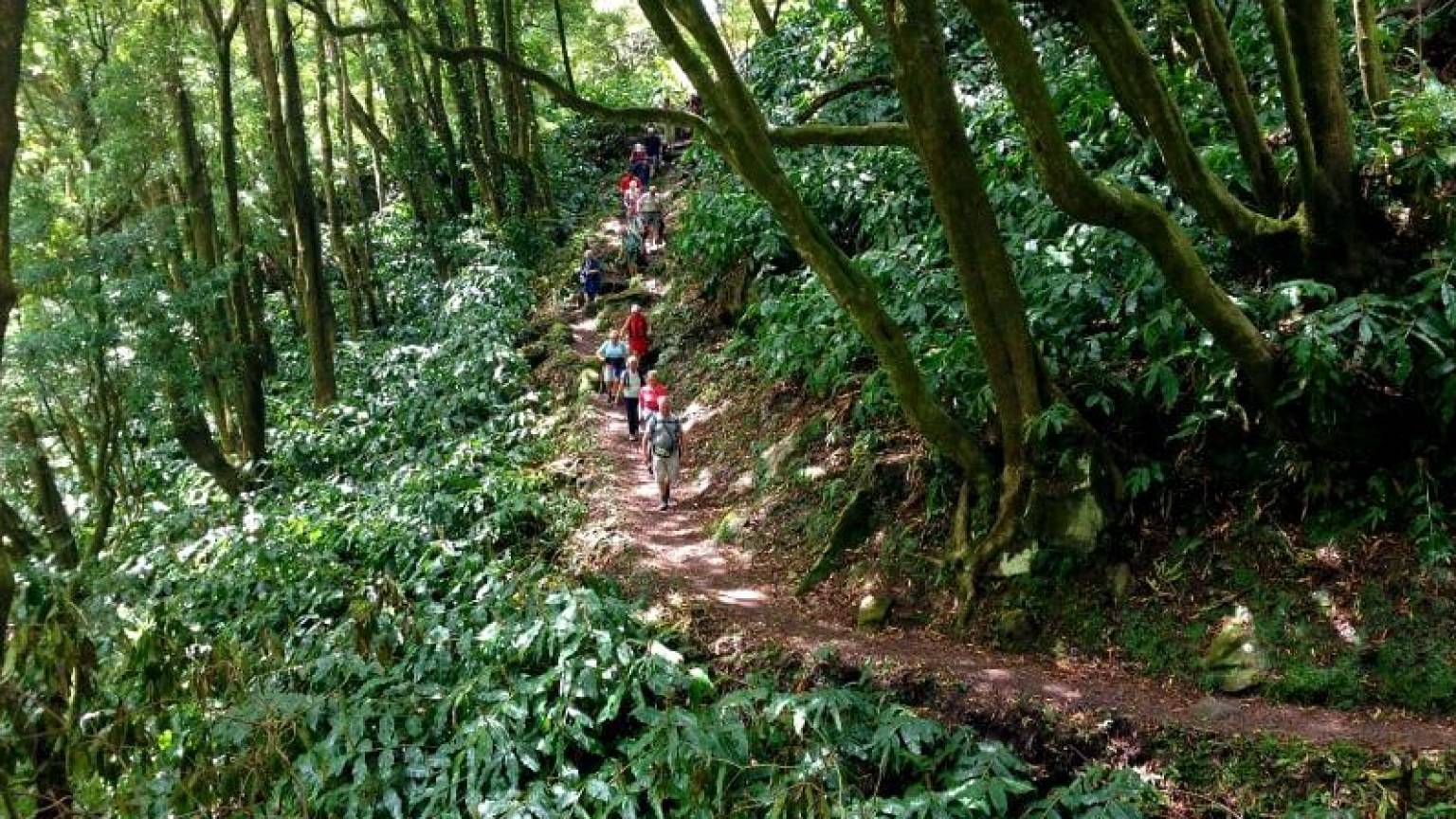 Passeio Pedestre - Faial da Terra | Sanguinho