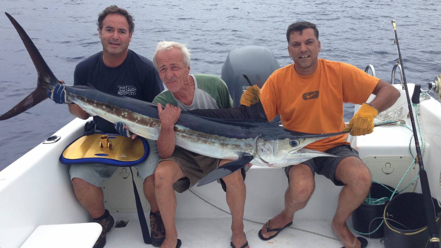 Big Game Fishing - Private Charter