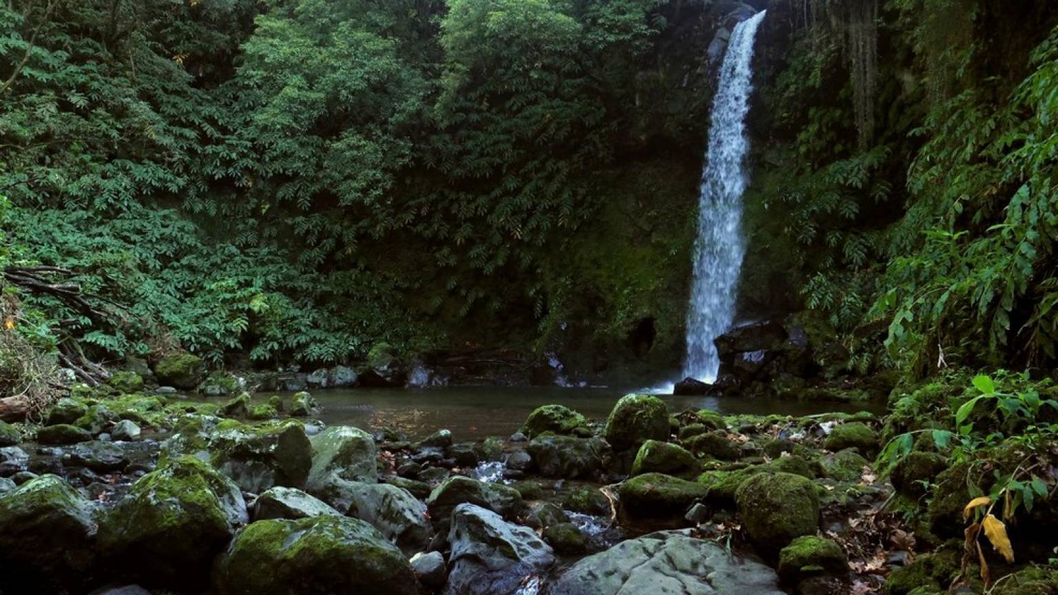 Hiking in Moinho do Félix - Fulld Day