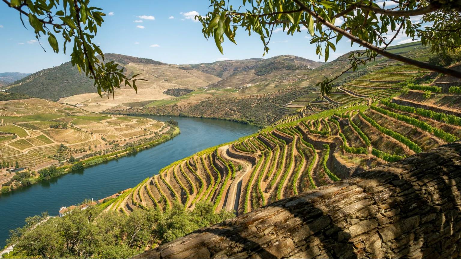 Douro Valley Private Tour