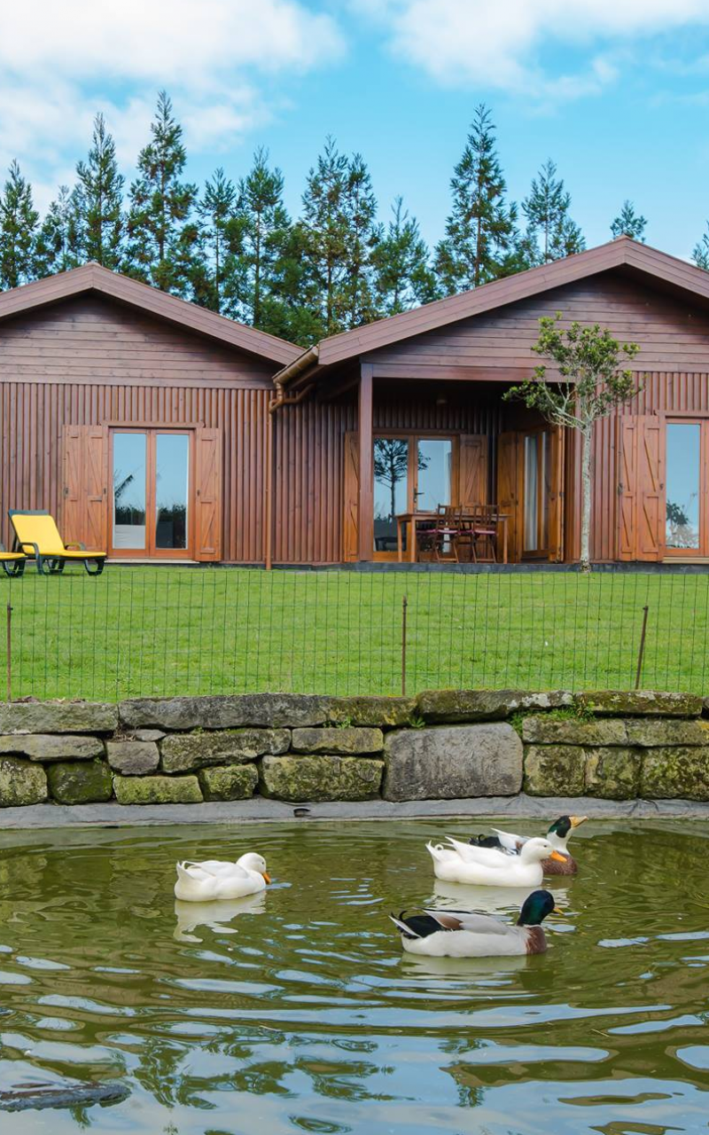 Quinta dos Curubás App